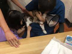 -瑞鹏宠物医院·爱宠堂·骨外专科(西荷分院)