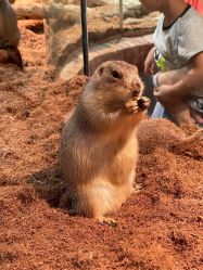 -Zoolung Zoolung动物主题公园(海信广场店)