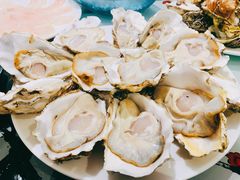 -千岛蚝高压锅生蚝·人参火锅(白云万达店)