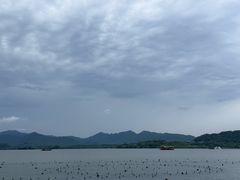 -杭州君悦酒店