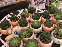 -ZOO COFFEE 动物园咖啡(亦庄店)