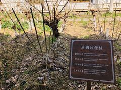 -苏州丝绸博物馆