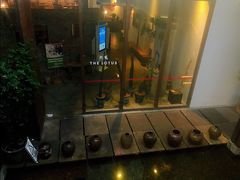-几荷·恰似故人来(秀水广场店)