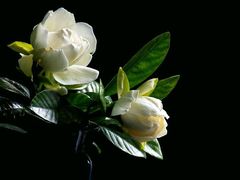 -1314音乐餐厅(锦林大厦店)