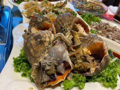 小海螺-鲜鲜·鲅鱼圈海鲜(于洪店)