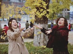 -百林公园-两江幸福广场