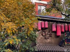 -三里屯东五街银杏大道