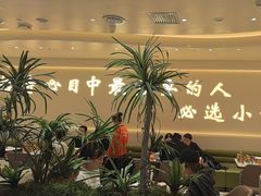 -小董哥烤串(铁西店)
