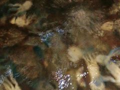 -福禧荟·海鲜自助