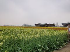 -中国天府农业博览园