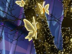 -池田寿司·新鲜现做(昌平悦荟店)