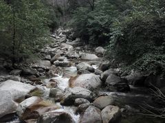 -青峰峡国家森林公园