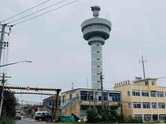 -芦潮港集贸市场