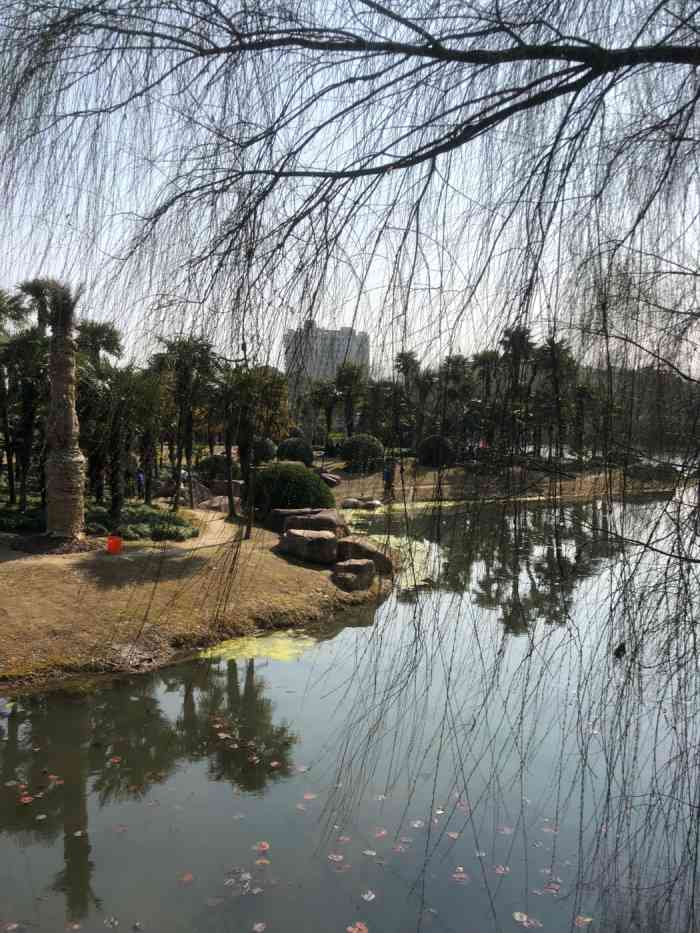 水生园-"闵行水生园 去了古藤园,而后在百度一查."-大众点评移动版