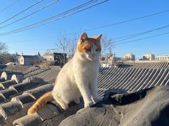 -前叁門