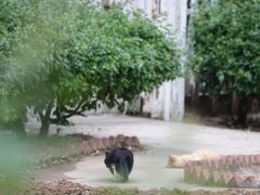 -晓港公园