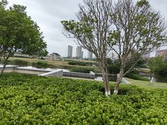 -江滩湿地公园