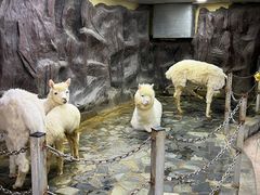 -上海大自然野生昆虫馆(东方明珠·爬宠昆虫探索中心)