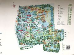 -上海共青森林公园