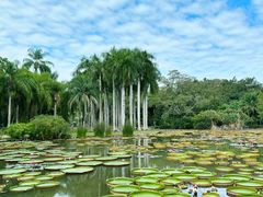 -中国科学院西双版纳热带植物园