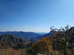 -大岭沟猕猴桃谷风景区