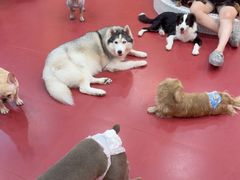 -和它·交个朋友·狗咖猫咖(爱琴海店)