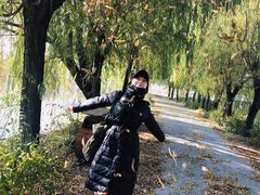 -白洋淀景区