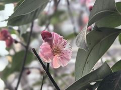 -木塔寺遗址生态公园