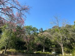 -珠海圆明新园