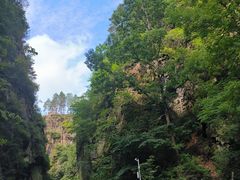-茅兰沟国家森林公园