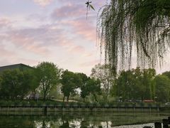 -武汉大学-樱园