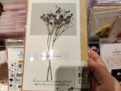 -九木杂物社(江宁金鹰广场店)