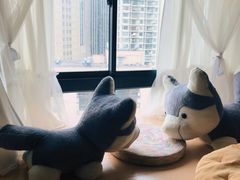 -Husky Go! 哈士奇体验馆·宠物咖啡厅狗咖