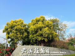 -云溪植物园