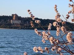 -颐和园