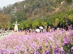 -顺峰山公园