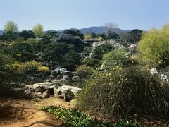 -北京西山国家森林公园