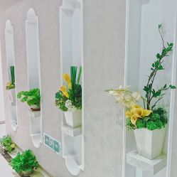 -紫颖·专业美胸·连锁养护中心