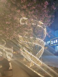-润复丝·泽发防脱头皮管理