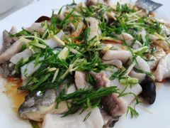 -凯盈阁·顺德私房菜·桑拿鸡