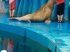 -华夏文旅海洋公园