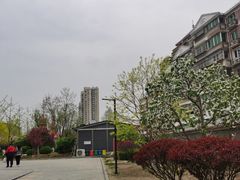 -首都医科大学附属北京潞河医院