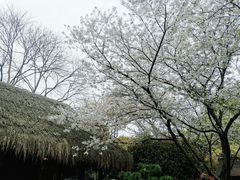 -中国茶叶博物馆(双峰馆区)