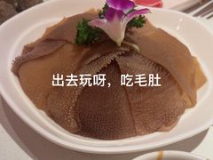 -九码头重庆毛肚火锅(棠岗店)