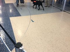 -达拉斯 沃斯堡国际机场