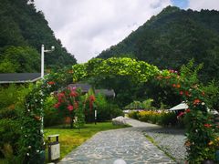 -牛背梁国家森林公园