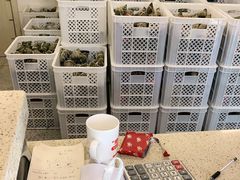 -璐坊粽王(复兴中路店)