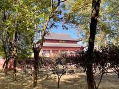 -古塔公园