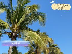-港珠澳大桥(珠海段)
