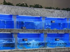 -香山湖渔家大院